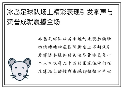 冰岛足球队场上精彩表现引发掌声与赞誉成就震撼全场