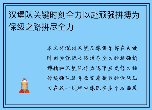 汉堡队关键时刻全力以赴顽强拼搏为保级之路拼尽全力