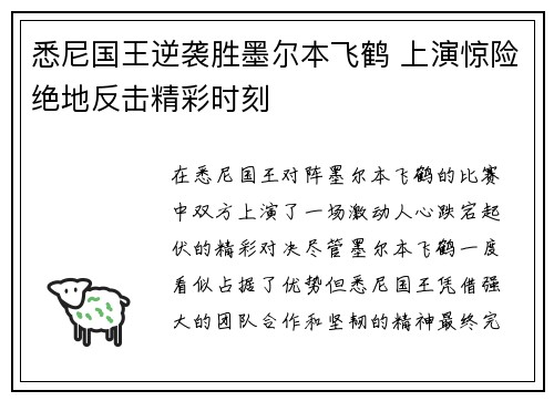 悉尼国王逆袭胜墨尔本飞鹤 上演惊险绝地反击精彩时刻