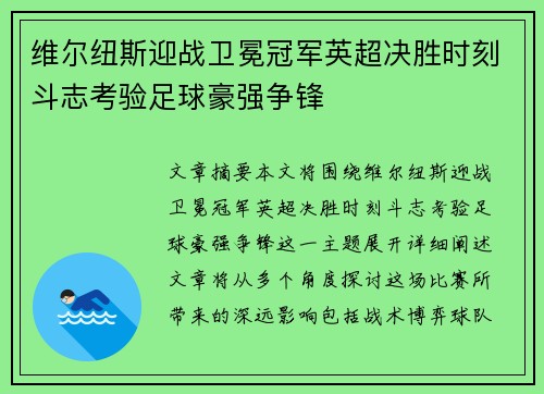 维尔纽斯迎战卫冕冠军英超决胜时刻斗志考验足球豪强争锋