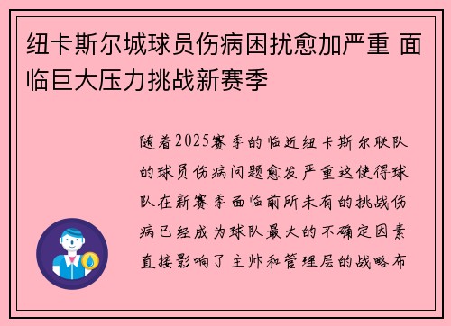纽卡斯尔城球员伤病困扰愈加严重 面临巨大压力挑战新赛季