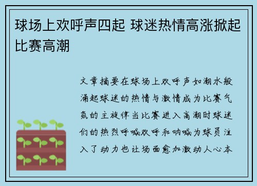 球场上欢呼声四起 球迷热情高涨掀起比赛高潮